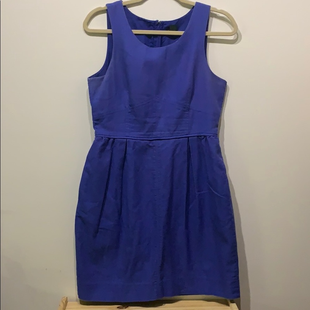 J Crew Sleeveless Blue Skater Dress